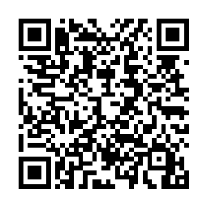 王小乐你他妈的用点儿劲儿她是你女朋友还是你亲妈啊二维码生成