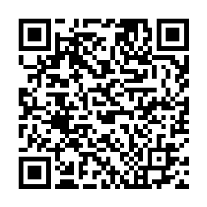 王小乐这么不要脸的人都说他做不出这么不要脸的事情二维码生成