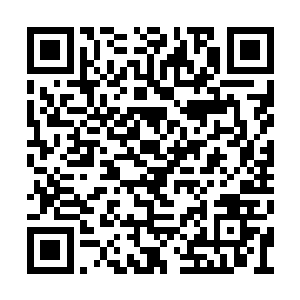 王小蛮从底层往上开始的爬台阶一样的挑战比赛二维码生成