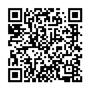 王建国这个老狐狸一看丁二狗终于站出来说话了二维码生成