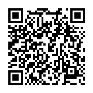 王志良带着警察和欧阳志远在立杰集团的工地上二维码生成