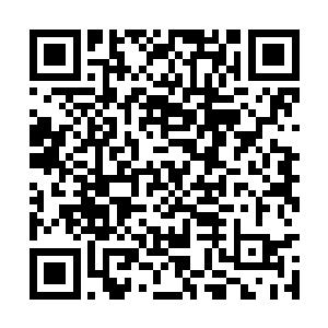 王斌三人在孙子轩的吩咐下坐在了黑色巨蟒的身上二维码生成