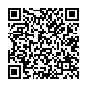 王明昊脸略红的看着来宾有些不好意思的看着吴露梦二维码生成