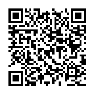 王朗自然不愿意因为自己的糊涂害了自己的老兄弟二维码生成