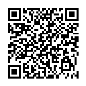 王朝有几个世子殿下的小院里会塞进两名随时赴死的死士二维码生成