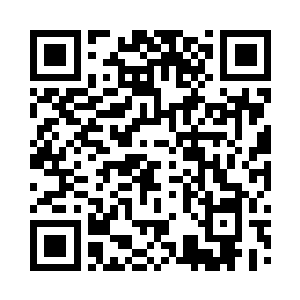 王杰手中抓着三个小桔子一样大小的蓝龙果二维码生成