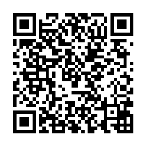 王枫在把装载有财宝的车驾与近两百名王娘留下之后二维码生成