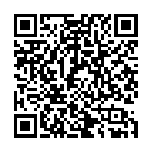 王枫的目光又移到了三国两晋南北朝那一大堆皇帝的牌位上二维码生成