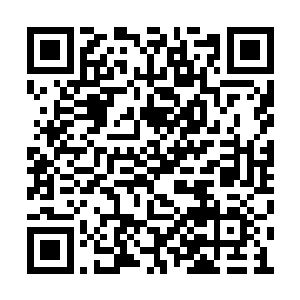 王楠顿时将目光转到了苏凡的身上淡淡的询问道二维码生成