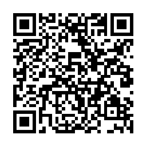 王氏果然很快就将为叶璃准备好的衣服和首饰送来了二维码生成