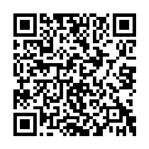 王洛也没有采集到你的气息或者鲜血之类的东西二维码生成