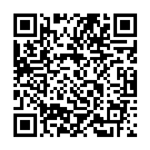 王浩泽和杰森也都操起了武器对着民族解放组织的人二维码生成