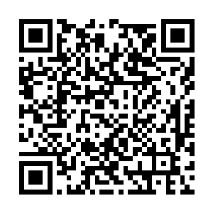 王淑芳等人马上都想起了昨天晚上有人來访的事情二维码生成