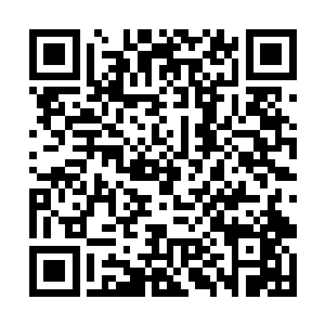 王爷你之前纵然是将龚七他们一行人都杀得干干净净二维码生成