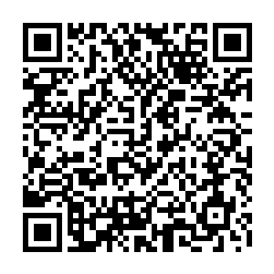 王爷你确定你说的是黎王而不是徐少夫人家养的那条番邦带来的小白狗么二维码生成
