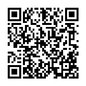 王玉花看她丝毫没有怨怪自己送了带红花的鸡汤二维码生成