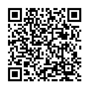 王璇的拳脚噼里啪啦如同雨打芭蕉一样落在了孙子轩的头上二维码生成
