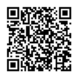 王璞也是伸手把自己平时不怎么用的拐杖给拿了过来二维码生成