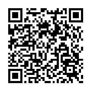 王璞和老太太之所以把王长林和苏元给叫了过来二维码生成