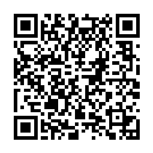 王疆在那一场战斗中没能走到最后其实是最可惜的二维码生成