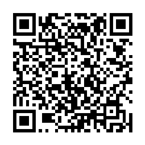 王破煞等一干人近乎是收割般屠杀着每一个侵入的妖族二维码生成