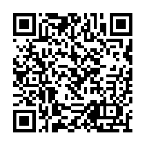 王禀和杨可世能拿多少力量支援他此次再返涿州二维码生成