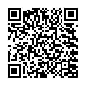 王禹似乎并没有察觉到燕拓那种几欲蓬勃而出的怒火二维码生成