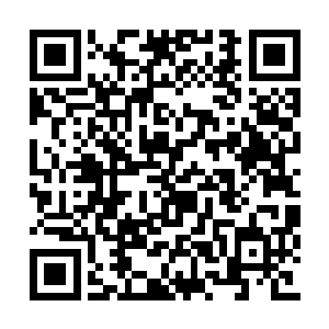 王肱似乎看到了一座宏伟大山正不断崛起的画面二维码生成