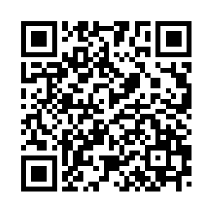 王艳艳少不得又要喂养和安抚它们二维码生成