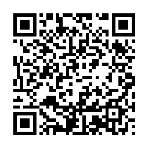 王莺知道这其中很大一部分是因为她们母子的原因二维码生成