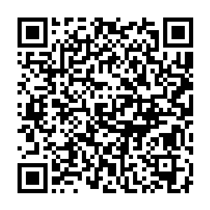 王萌身后的衣架上挂着一件纯白色的貂皮领羊绒大衣和一个黑色的包二维码生成