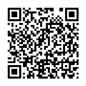 王诗茹的红都传媒和童天翼的八方旅游集团的宣传二维码生成