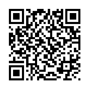 王诗韵就整天和这五只兔子在一起二维码生成