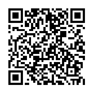 王辉打心眼也不相信成津县会做出如此愚蠢之事二维码生成