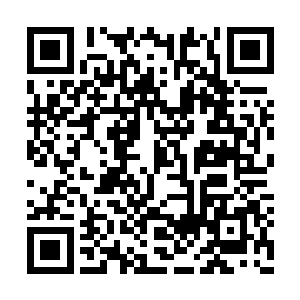 王辉是昨天下午看到了省委宣传部转过来的材料二维码生成