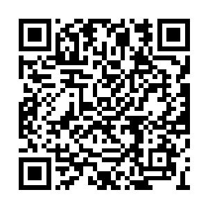 王远燃几个都打心眼佩服这条袁疯狗的肆无忌惮二维码生成