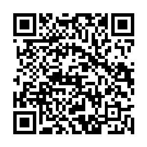 王金顺肥肥的手就像圣主耶稣正在受刑般高高挂起二维码生成