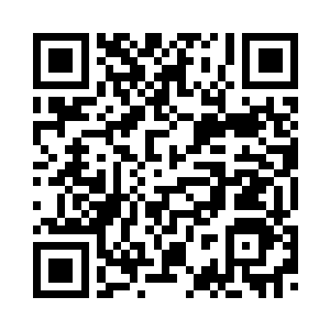 王铮只是在开始的时候指点了一下二维码生成