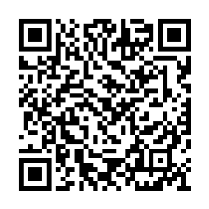 王铮正驾驶着战神一号高速朝着狩猎者三型逼近二维码生成