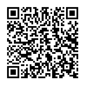 王铮的心里面有点惴惴……上一次测试基因数的心理阴影还没有退散二维码生成