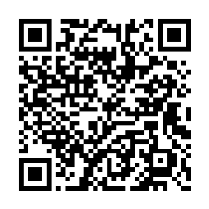 王铮还是头一次见叶紫苏这么忐忑忍不住笑了笑二维码生成
