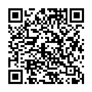 王阳当然是注意到了小宝眼睛当中流露出来的神情二维码生成