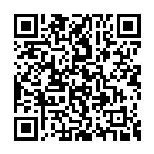 王阳的身体周围所有的一切瞬间全都化为了攻击二维码生成