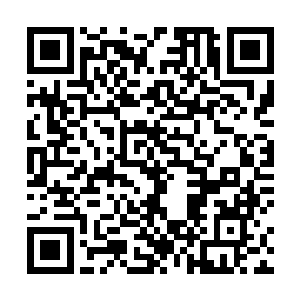 王雅君和那些来报到的新生女同学真的没有太大的差别二维码生成