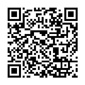 王风充满怨恨的眼神与不断散发而出侵袭而来的杀气二维码生成