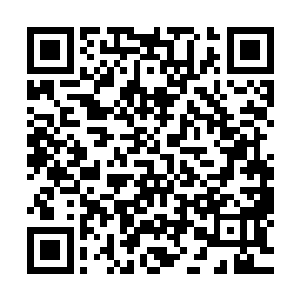 王飞无疑就是那种只可能在小说和电视剧上出现的京城阔少了二维码生成