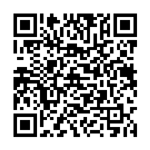 玛丽亚和惠特尼休斯顿被成为美国乐坛的两大天后二维码生成