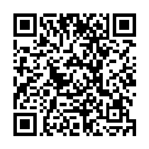 玛丽娜倒是迫不及待地想知道他朋友的游艇究竟是哪一艘二维码生成