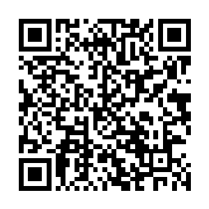 玛丽娜担心夏云杰因为阿努夫里和弗拉基米尔的挑衅而愤怒二维码生成