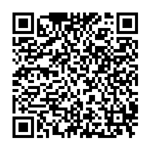 玛丽露出了她那招牌的和气笑容――她的这幅表情在业界相当知名二维码生成